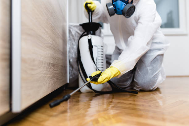 Best Pest Control for Restaurants  in Peachtree Corners, GA