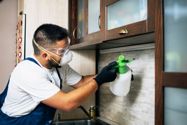 Best Pest Inspection Near Me  in Peachtree Corners, GA