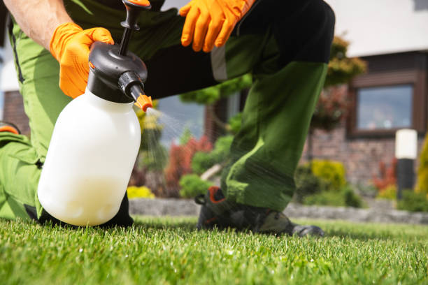 Best Bed Bug Extermination  in Peachtree Corners, GA