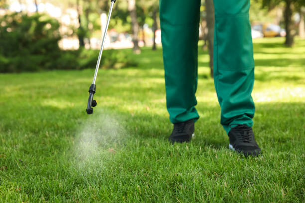 Best Rodent Control Near Me  in Peachtree Corners, GA