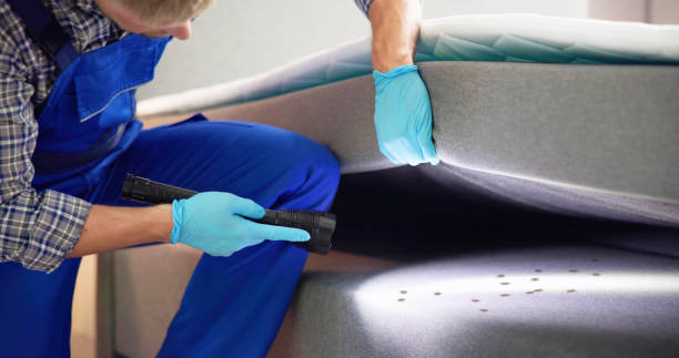 Best Mosquito Control Services  in Peachtree Corners, GA