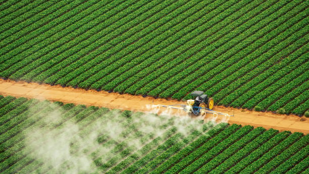 Best Termite Control Services  in Peachtree Corners, GA