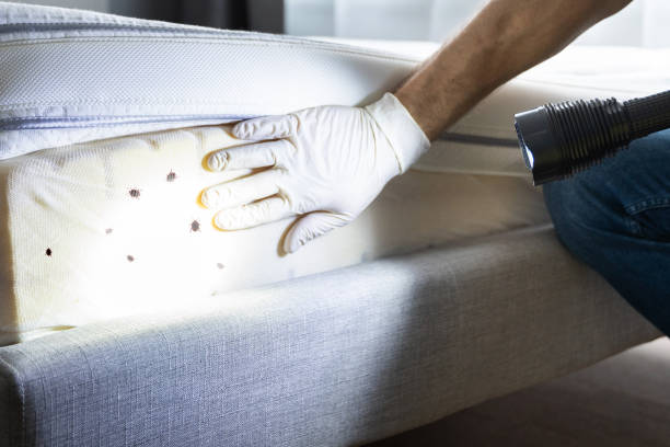 Best Pest Removal Services  in Peachtree Corners, GA
