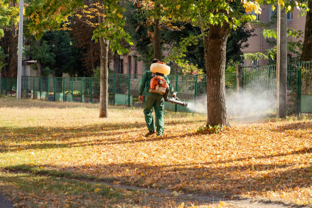 Best Commercial Pest Control Services  in Peachtree Corners, GA