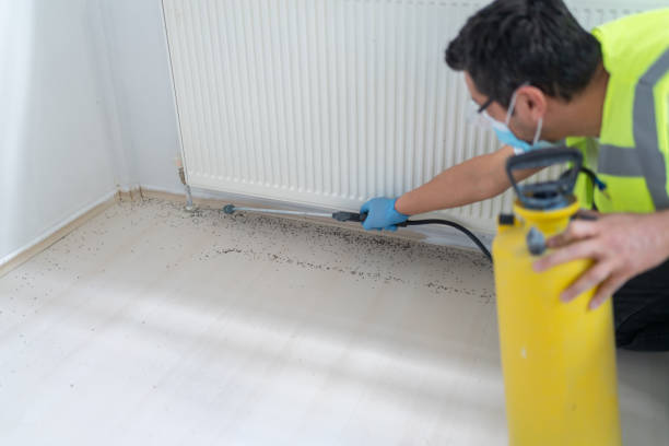 Pest Control for Restaurants in Peachtree Corners, GA