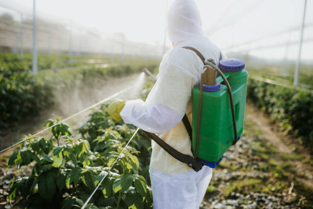 Best Local Pest Control Services  in Peachtree Corners, GA